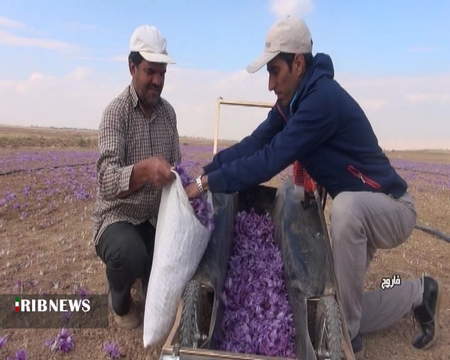 درک بازار خرسی